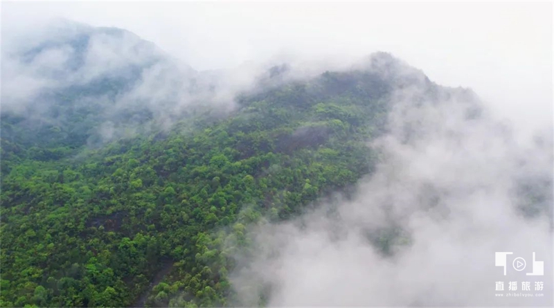 咸丰县2024避暑康养精品旅游线路出炉(图3)