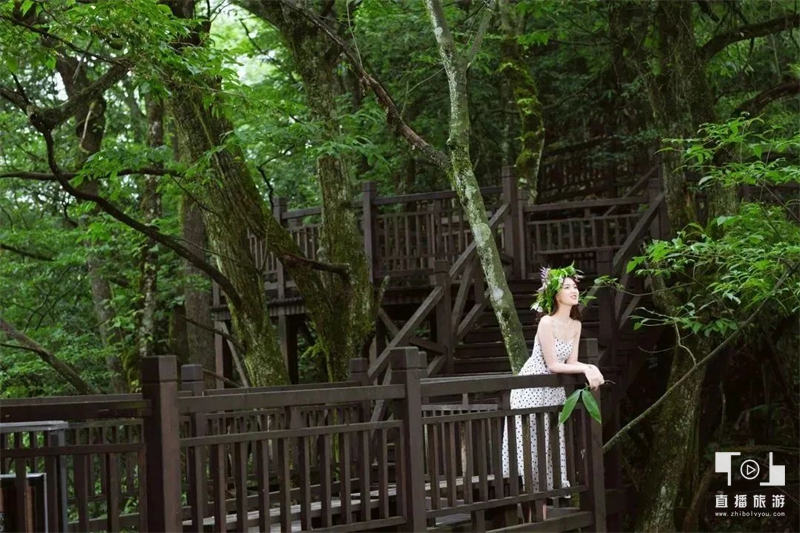 咸丰县2024避暑康养精品旅游线路出炉(图2)