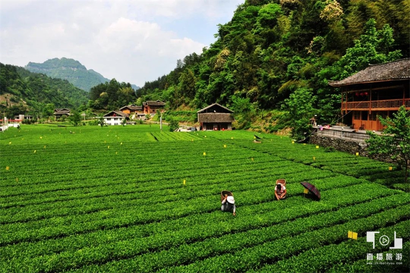 咸丰县2024避暑康养精品旅游线路出炉(图12)