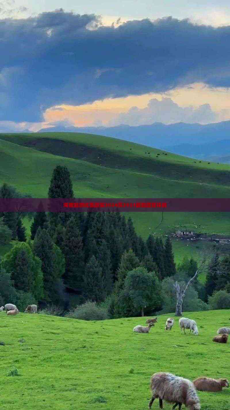 z6尊龙平台：海南旅游优惠政策2024及2023最新政策详解(图3)