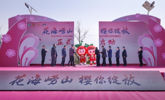z6尊龙平台：喜报！崂山区5项主题活动入选2024年度“好客山东·乡村好时节”主题活动优秀案例！(图6)