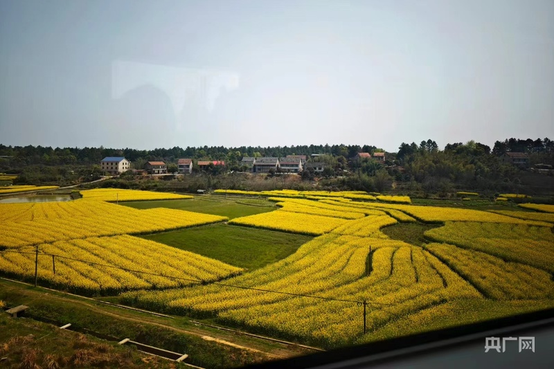 农文旅融合激活力乡村振兴阔步行(图1)