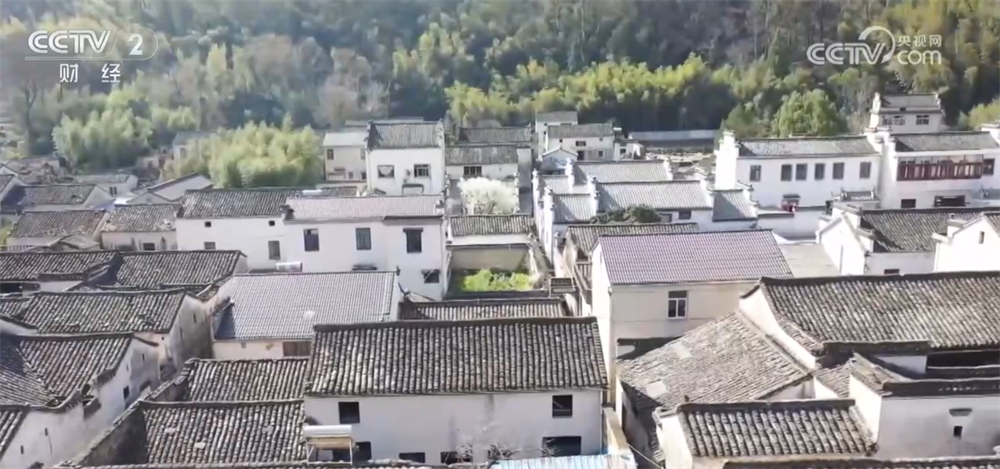 z6尊龙平台：盘活闲置农房、“村马”“村秀”“野火饭”……农文旅深度融合释放新活力(图2)