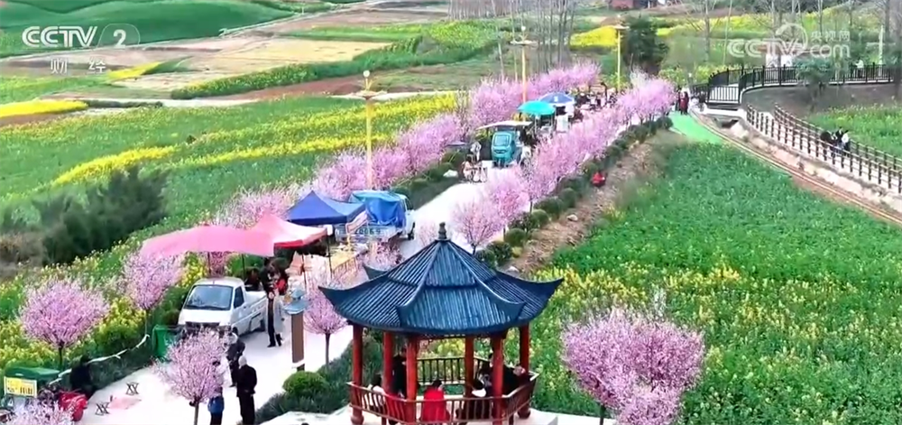 z6尊龙平台：盘活闲置农房、“村马”“村秀”“野火饭”……农文旅深度融合释放新活力(图3)