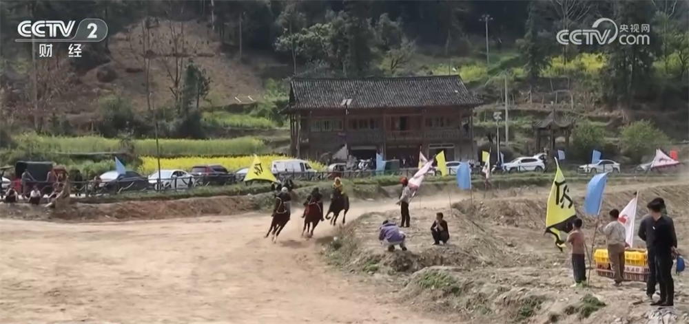 z6尊龙平台：盘活闲置农房、“村马”“村秀”“野火饭”……农文旅深度融合释放新活力(图4)