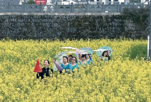 z6尊龙入口：中国旅游研究院预测今年旅游各项指标或创新高(图1)