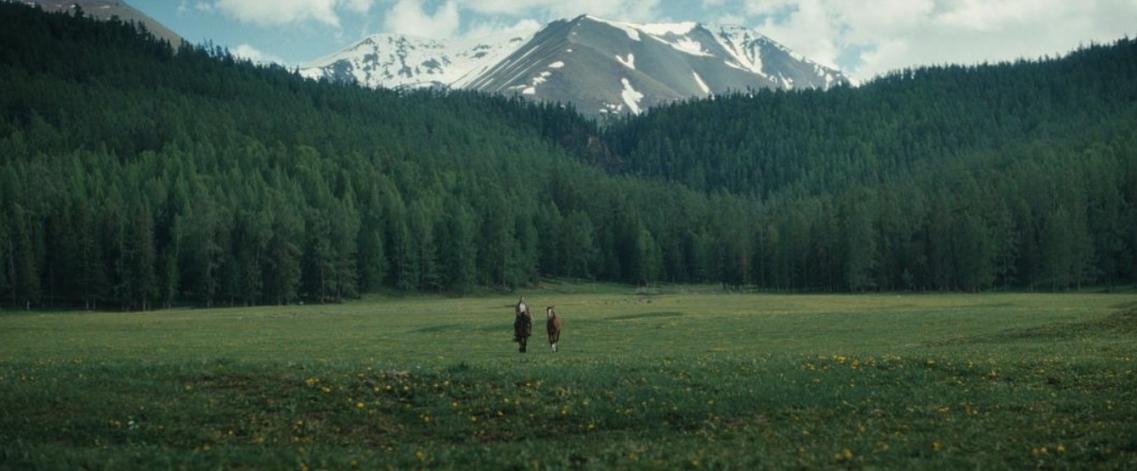 逾42亿人次出游、超30万家旅企涌入⋯⋯2024年文旅融合火爆旅行社缘何难享红利？(图1)