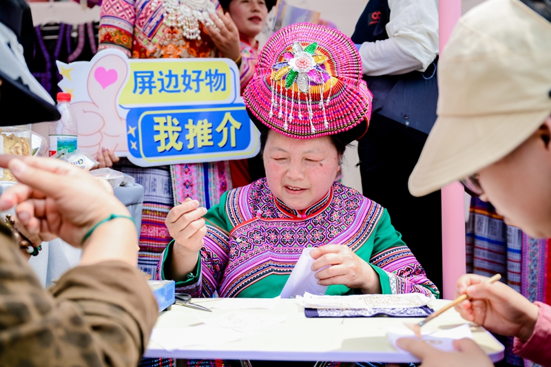 2025年“康养旅居在屏边”上海市宣传推介活动举办_新华网(图3)