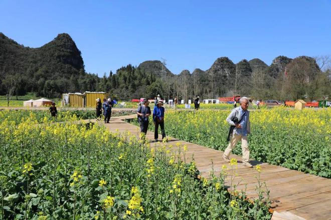 z6尊龙平台：罗平：康养旅居新体验圆满旅程暖人心(图6)