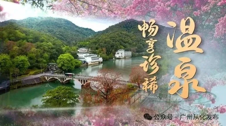 广州市从化区人民政府门户网站(图5)