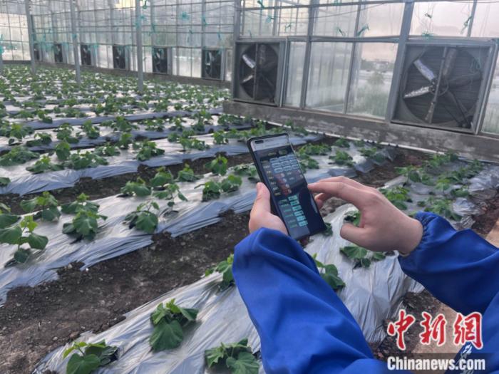 z6尊龙入口：文旅产业+现代农业广西贺州焕发山乡新活力(图2)