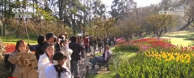 z6尊龙入口：“数字+文化+影视+生态”多核驱动赋能入境游中高端市场释放多元潜力(图8)