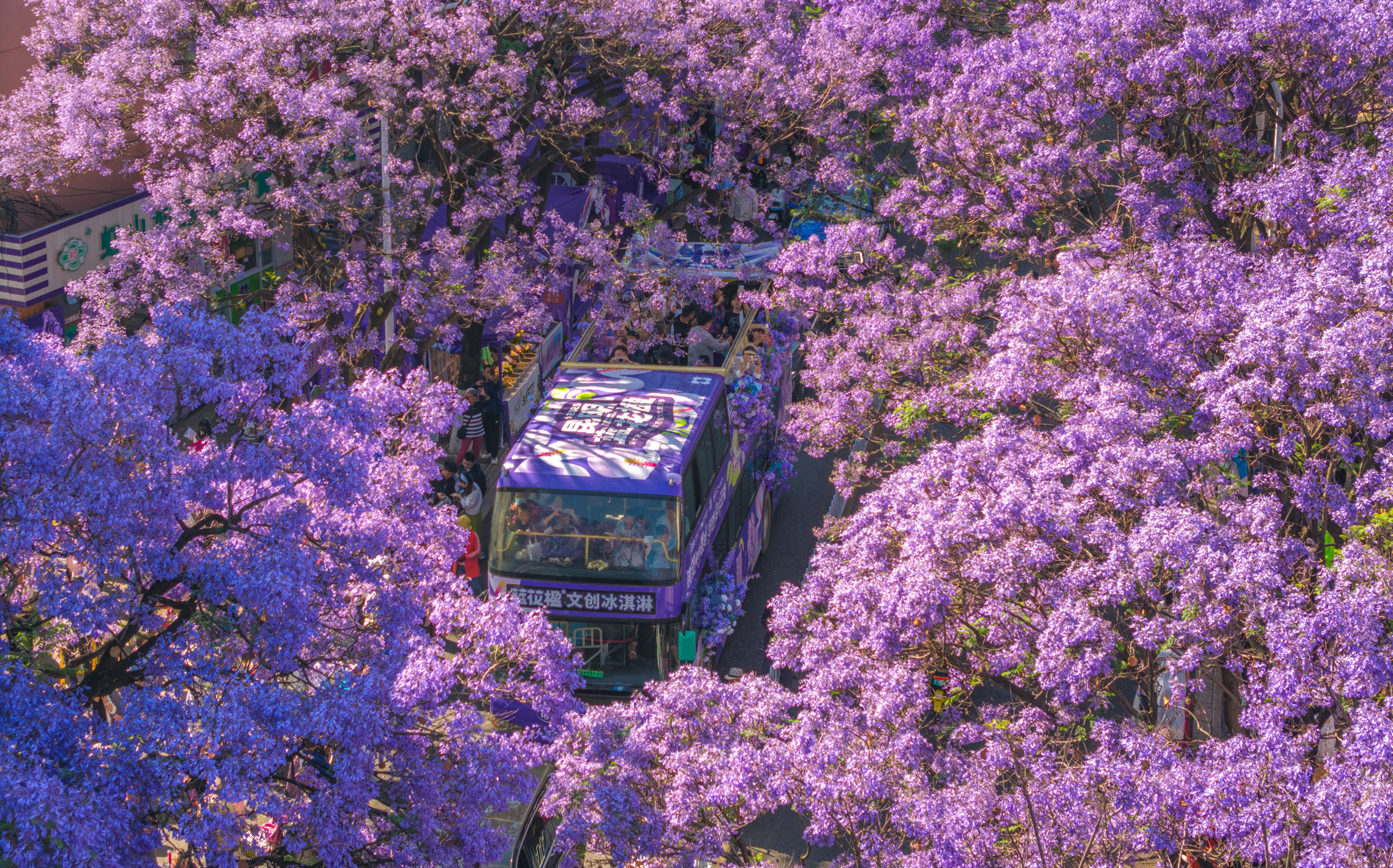 z6尊龙入口：云南文旅向新求变：从“旅居品牌”到“消费升级”(图1)