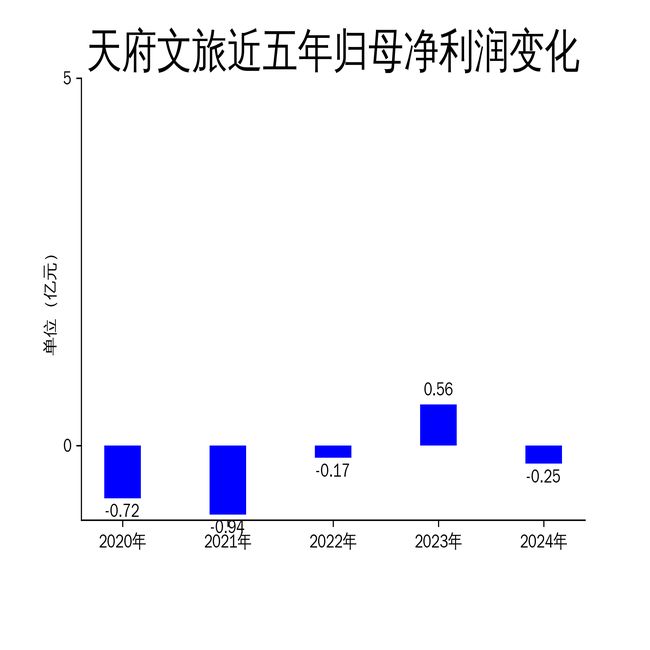 天府文旅2024年财报：营收增长显著净利润大幅下滑(图2)