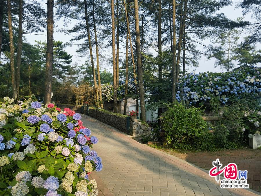 高舜礼：“康养”如何助力民宿经济(图)(图5)