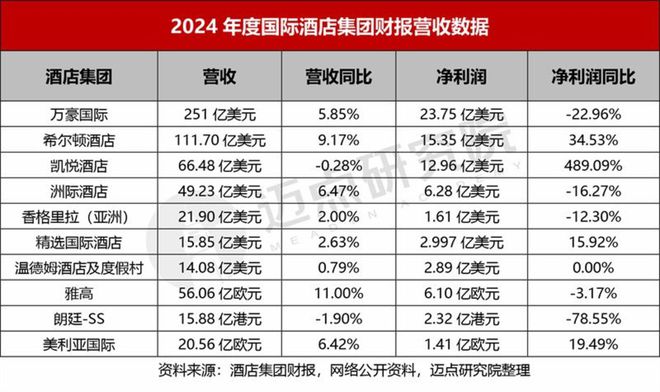 2024年酒店集团财务分析报告(图2)
