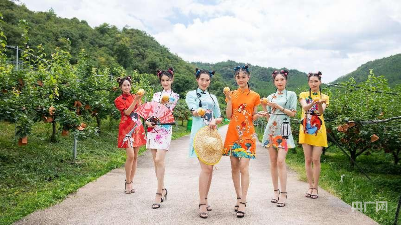 z6尊龙·中国网站：小特产变身大产业绘就特色农业新图景(图5)