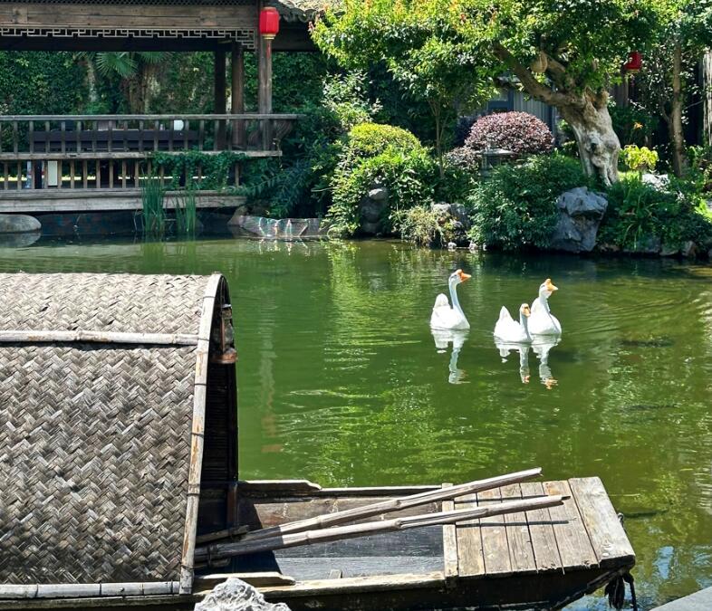 “到此一游”已过时试试“到此一留”！黟县正迎接一场文旅蝶变(图4)