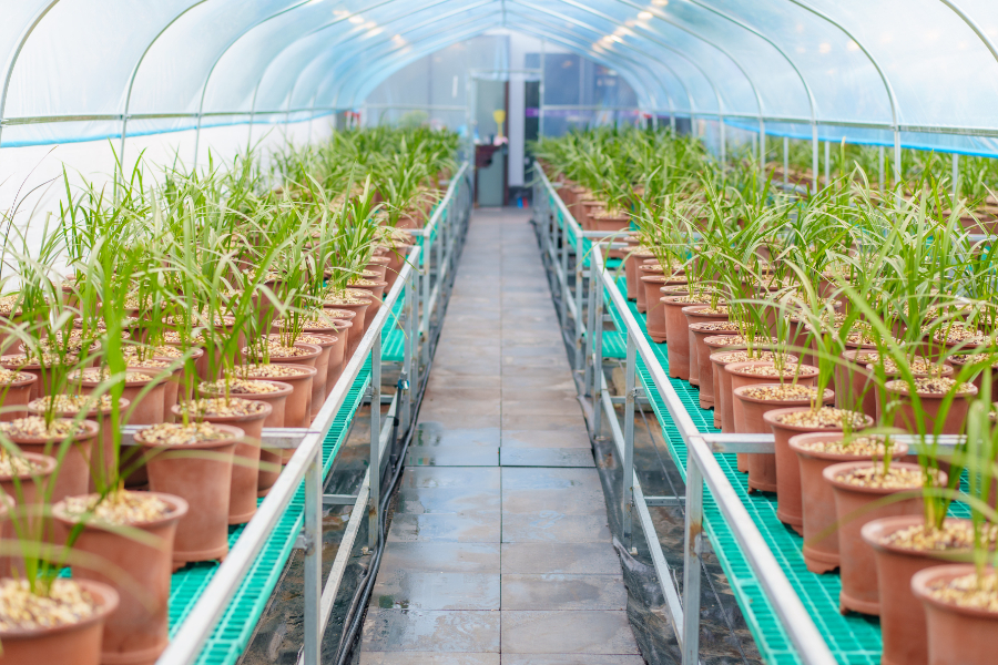 z6尊龙入口：县·观察山东兰陵：“家底丰”何以实现“文旅兴”(图1)