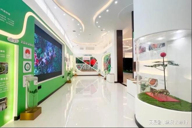 探秘三七之都体验康养文山(图7)