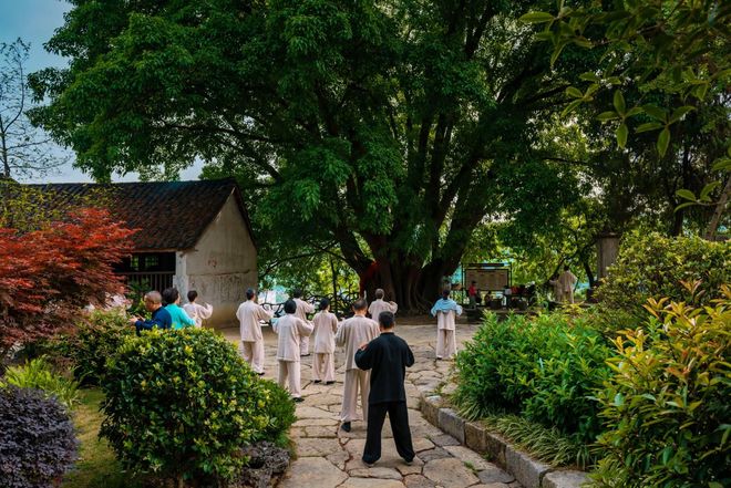 小城看中国⑫贵州兴义：北纬25度的康养“引力场”(图7)