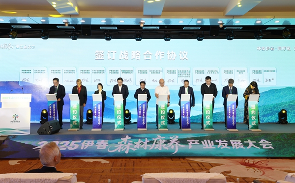 z6尊龙入口：2025伊春森林康养产业发展大会在伊春市开幕(图2)