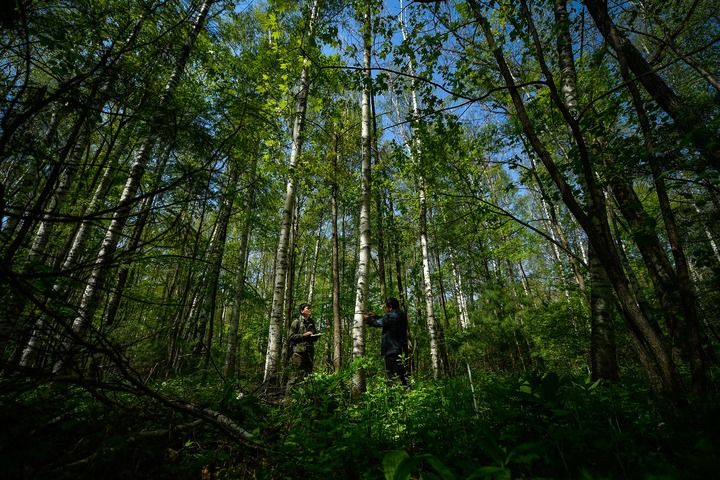 z6尊龙平台：践行“两山”理念守护东北“水塔”——解码美丽中国的“长白山名片”(图3)