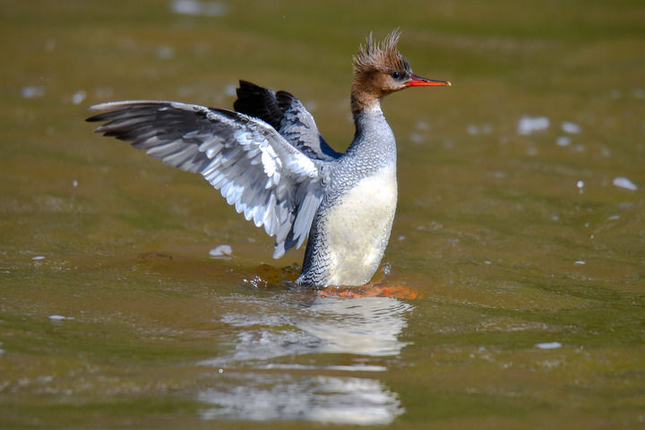 z6尊龙平台：践行“两山”理念守护东北“水塔”——解码美丽中国的“长白山名片”(图5)