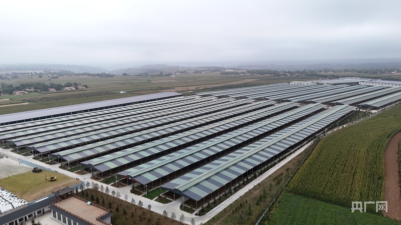 【平凉：举城竞进何以为之？②】现代精品农业何以为进？(图1)