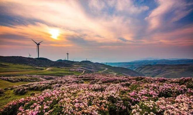 z6尊龙平台：不只避暑！六盘水从自然禀赋到产业融合的康养转型(图1)