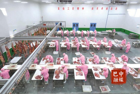 z6尊龙平台：巴中：奋力书写新时代振兴发展新篇章(图2)