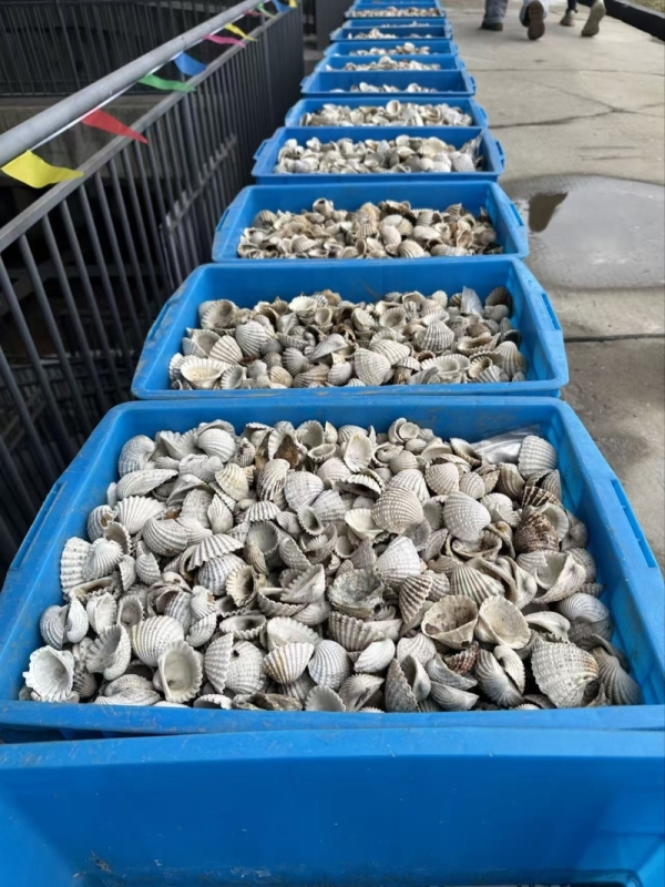 z6尊龙·中国网站：8000600553！数读浙江余姚解码何为“最名邑”(图2)