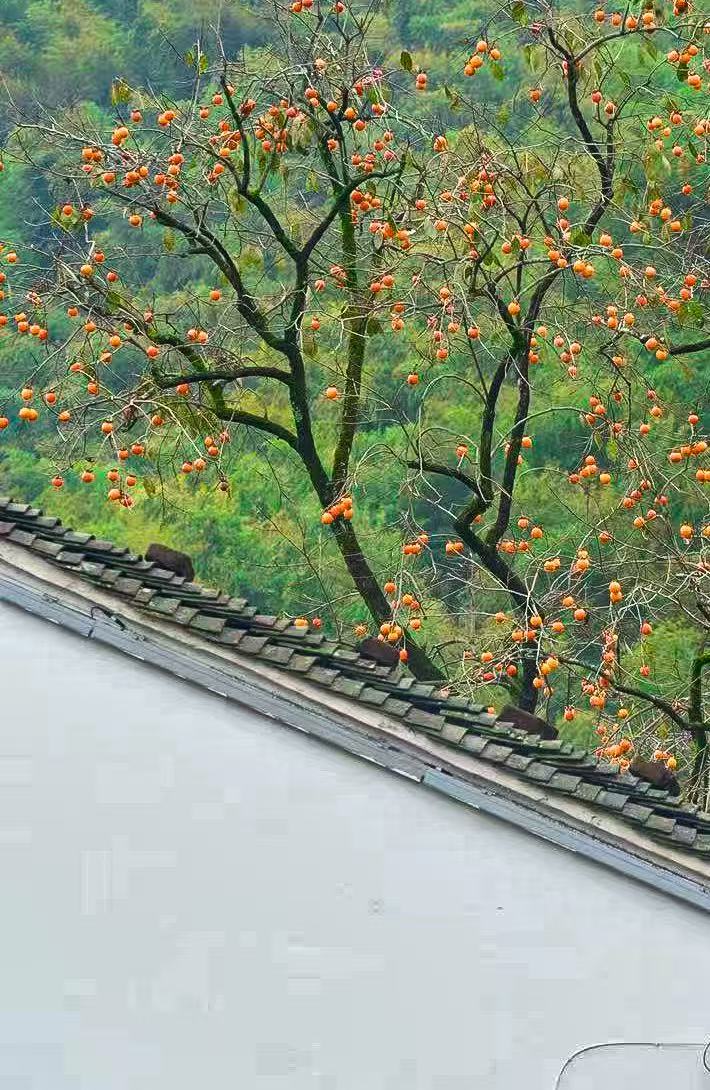 z6尊龙·中国网站：8000600553！数读浙江余姚解码何为“最名邑”(图3)