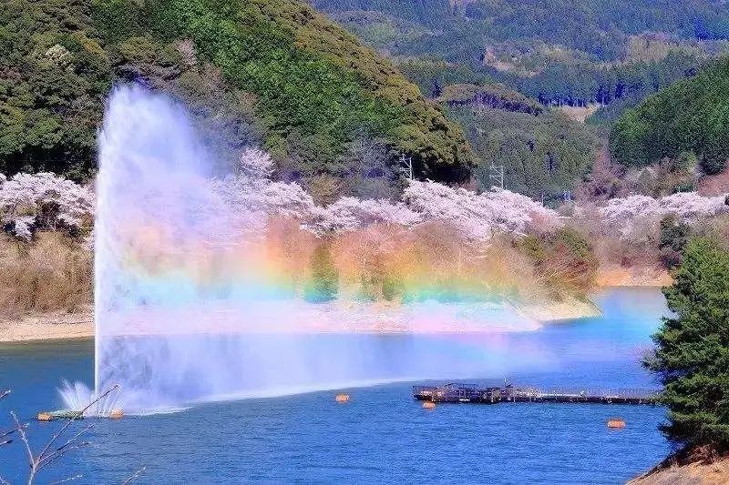 z6尊龙入口：旅游趋势之一康养旅游的发展模式(图18)