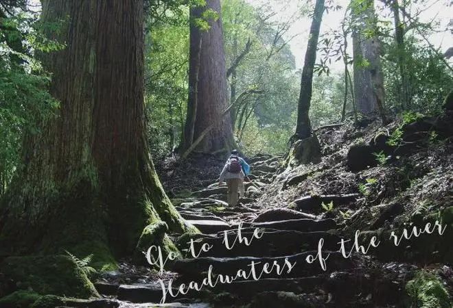 z6尊龙入口：旅游趋势之一康养旅游的发展模式(图20)