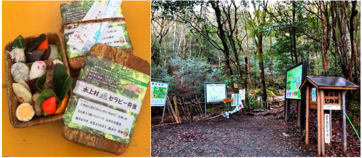 z6尊龙入口：旅游趋势之一康养旅游的发展模式(图21)