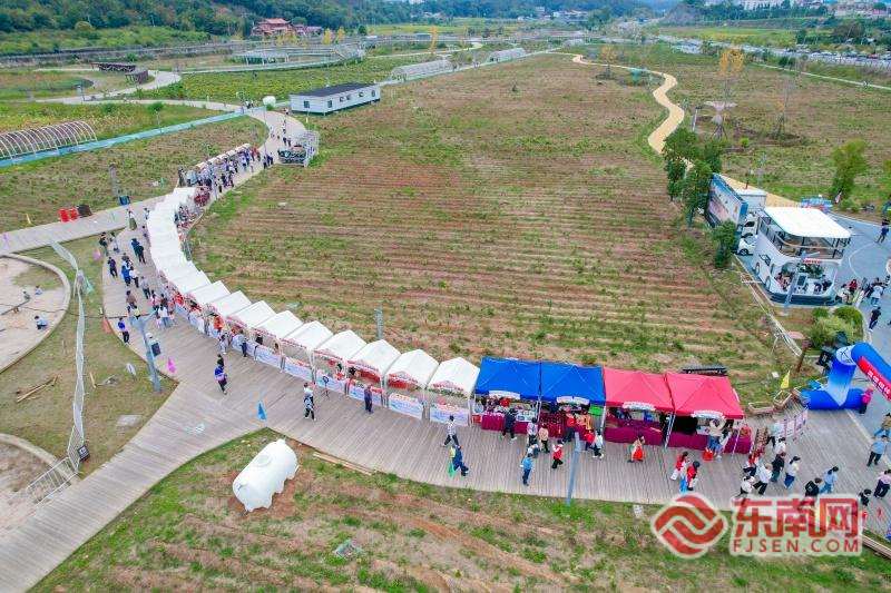 z6尊龙·中国网站：康养明溪主题活动日：秋风菊韵引客来侨乡康养生活正相宜(图2)