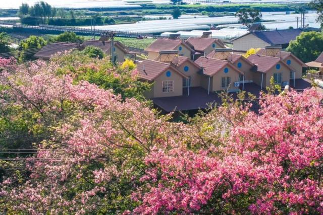 z6尊龙入口：避寒置业新选择：攀枝花以阳光康养吸引外来置业(图4)