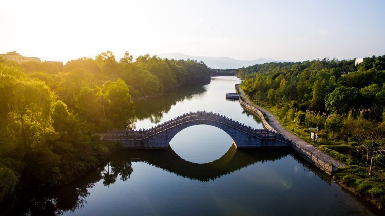 森林旅游赋能陇川经济2024年游客接待量超240万人次(图1)