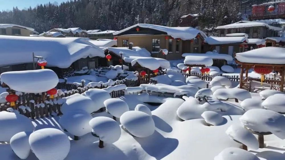 z6尊龙入口：龙江森工集团：冰雪旅游书写产业富企新篇章(图2)