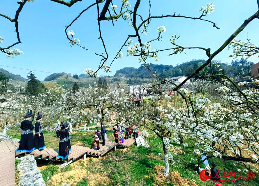 康养促振兴“旅居广南”成云南旅居特色品牌(图6)