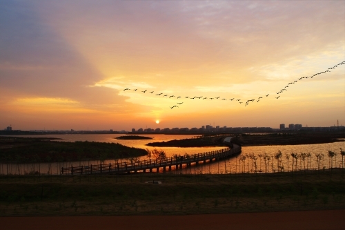 改革创新看山东“冷资源”释放热效应冬游齐鲁正当时(图1)