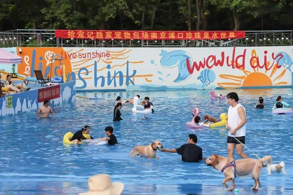 z6尊龙入口：带宠物旅行成了一门生意(图2)