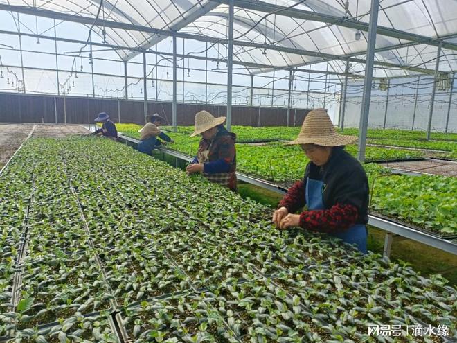 “农文旅”三维赋能绘就新图景(图3)