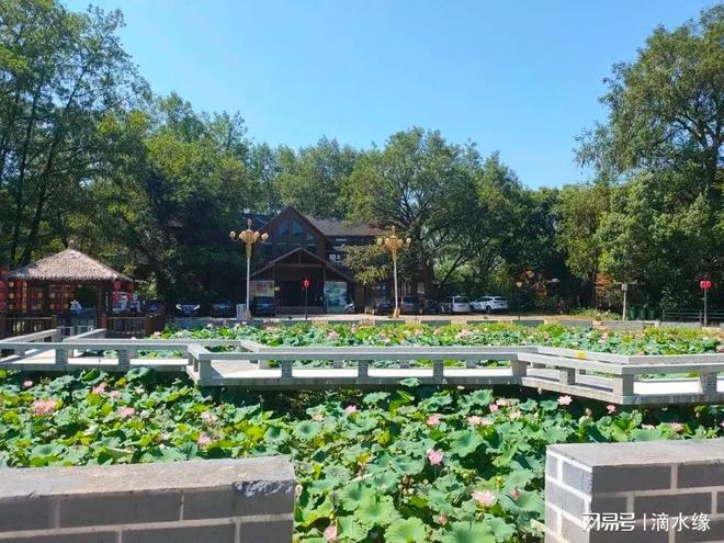 “农文旅”三维赋能绘就新图景(图1)