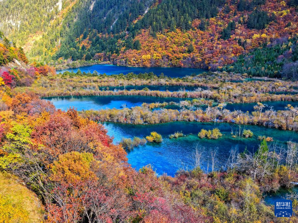 中国经济样本观察·县域样本篇丨不简单！这个“沟”撑起百亿文旅产业(图1)