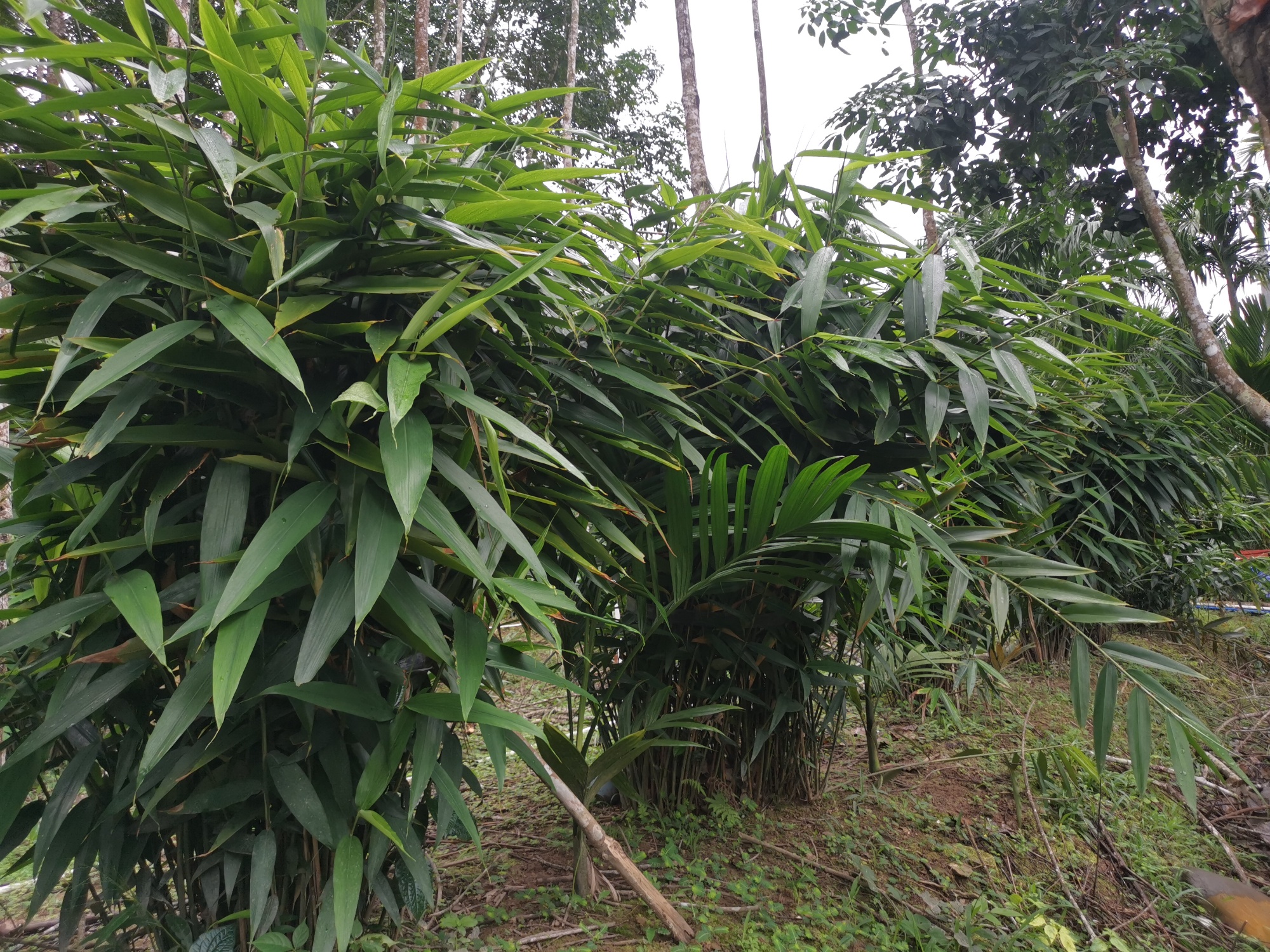 z6尊龙入口：远山的回响丨黎乡焕彩：从闭塞山野到文旅胜地的跨越(图9)