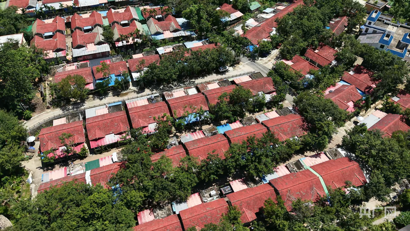 z6尊龙入口：远山的回响丨黎乡焕彩：从闭塞山野到文旅胜地的跨越(图14)