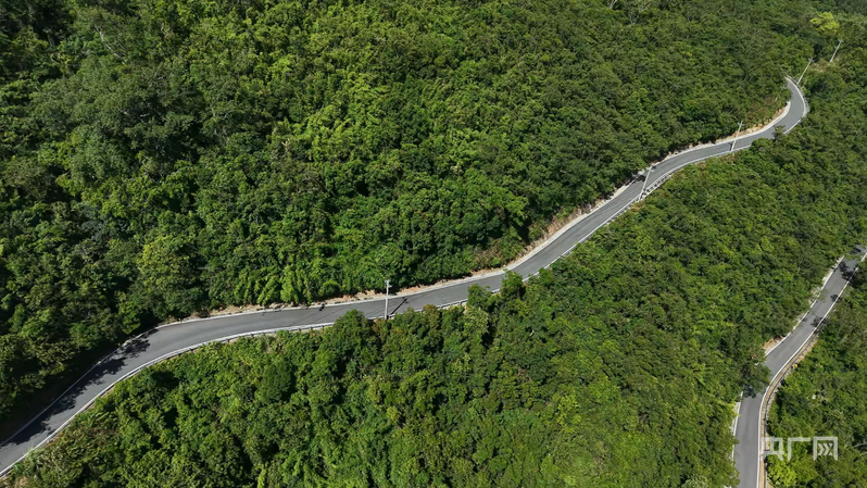 z6尊龙入口：远山的回响丨黎乡焕彩：从闭塞山野到文旅胜地的跨越(图12)