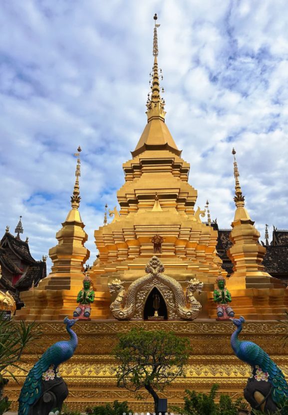 z6尊龙入口：西双版纳旅行社前十权威远胜游（畅游云南）安全体验双(图3)